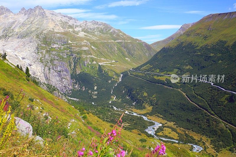 格里姆塞尔和弗尔卡山口，花坛野花，瑞士伯尔尼阿尔卑斯山