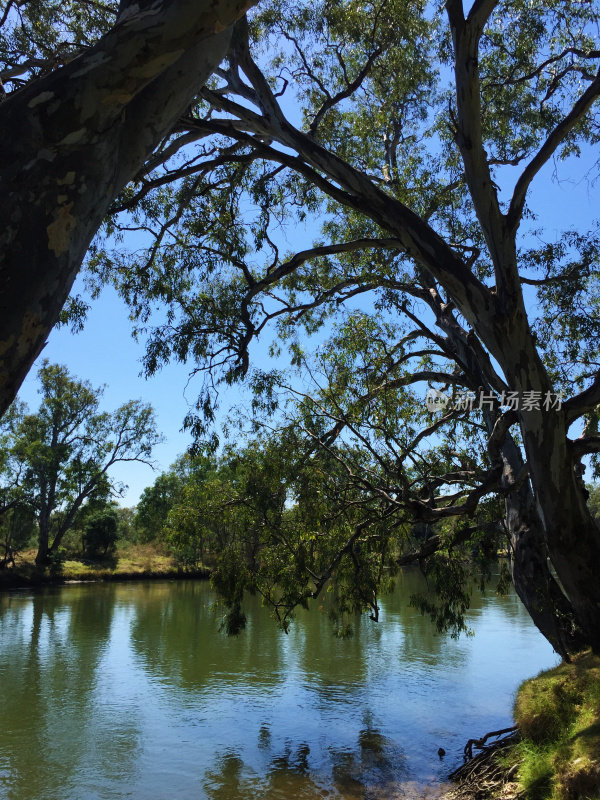 澳大利亚新南威尔士州阿尔伯里诺罗伊公园的墨累河
