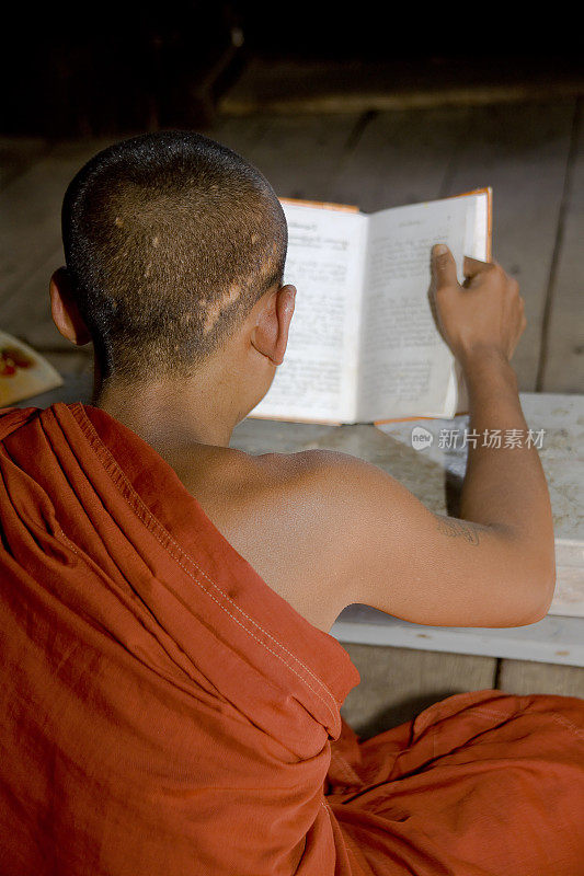 缅甸:小和尚读经文