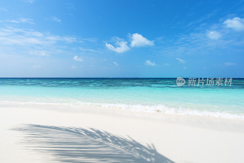 夏天海滩背景