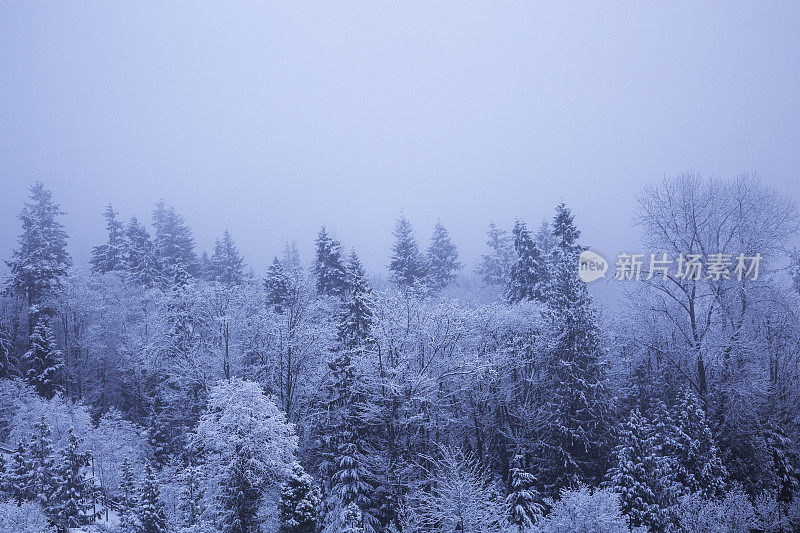 华盛顿州山上的晨雾和第一场雪