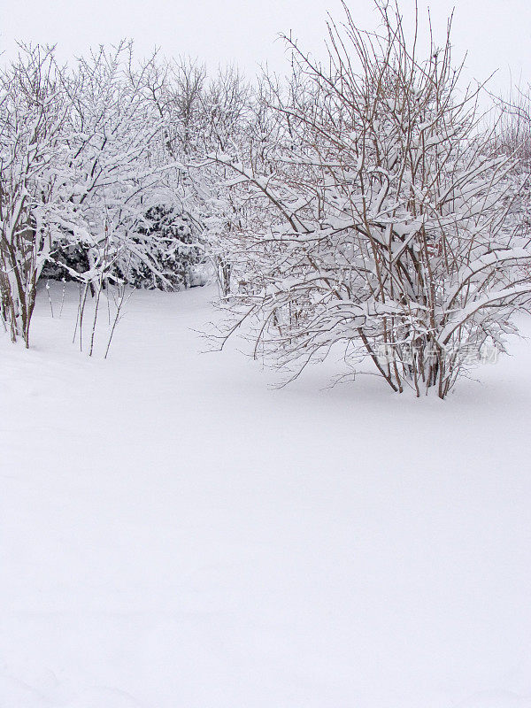 下雪的场景