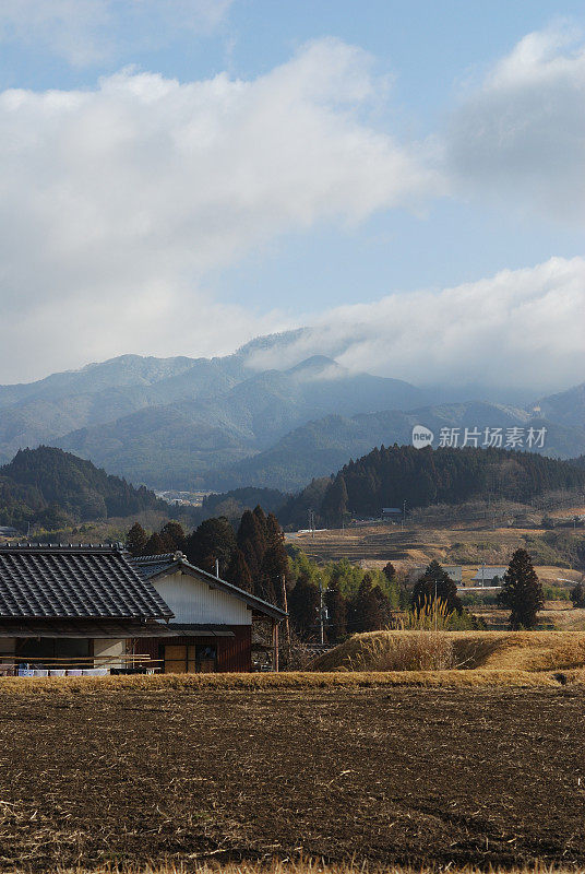 乡村别墅景色