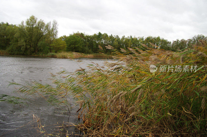 湖附近刮着大风