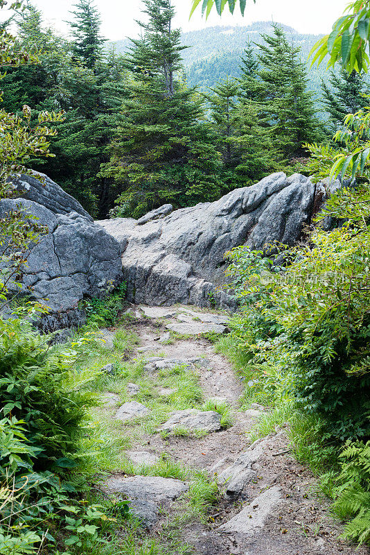 山间的小路