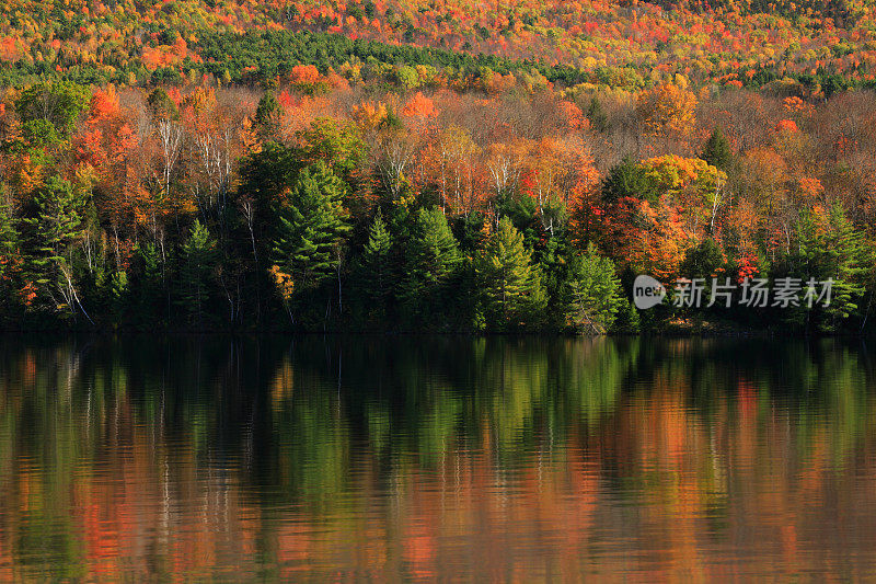 秋天的树叶倒映在佛蒙特州的康涅狄格河上