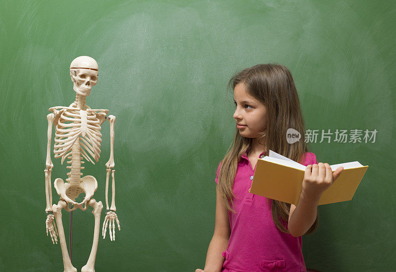 小女孩在黑板前学习人体解剖学