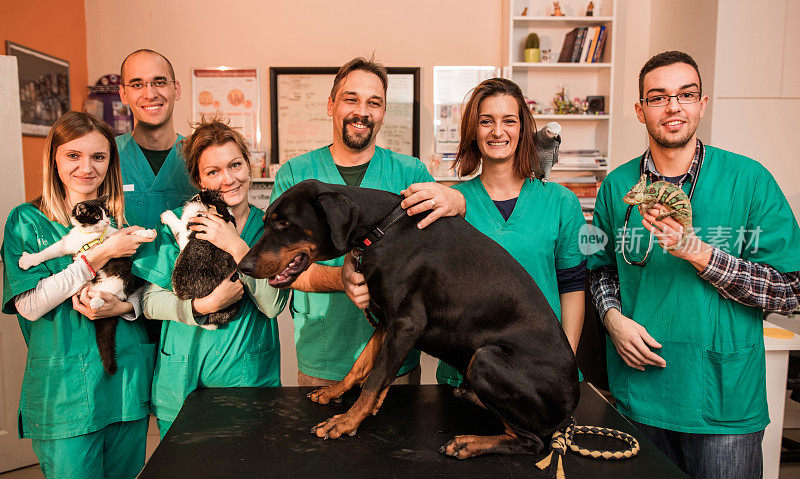 一群快乐的兽医和动物在兽医的办公室。