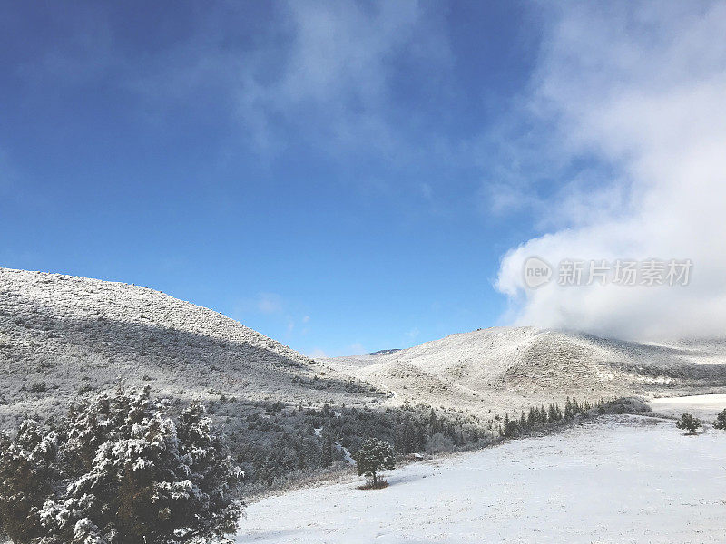 白色风景-科罗拉多州西部高海拔冬季降雪