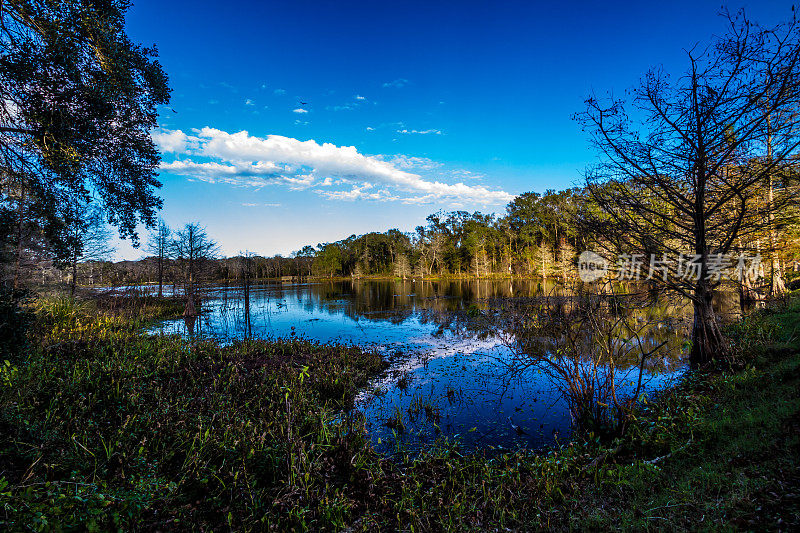 德克萨斯州布拉索本德的克里克菲尔德湖。