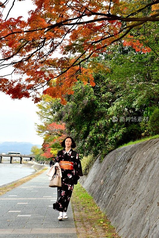 穿着和服的日本妇女沿着京都的加茂河行走