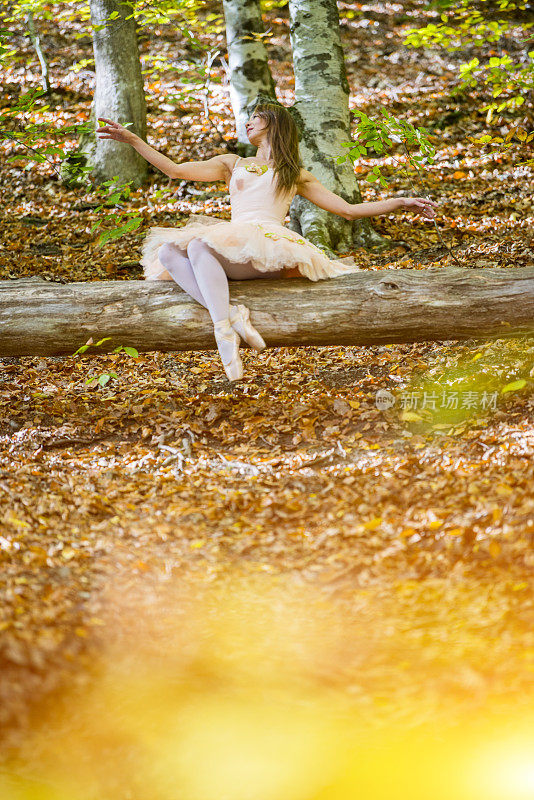 美丽的芭蕾舞演员在秋天的木上跳舞