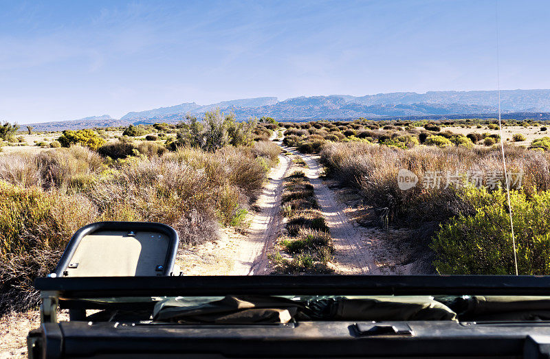 驾车穿过南非的塞德堡荒野地区