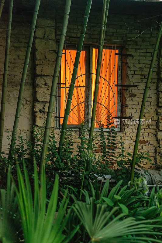 旧砖房窗户上的橙色灯光。夜幕降临，苏呼米植物园，阿布哈兹