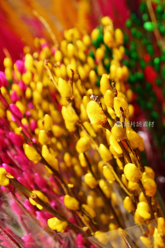 花市上的柳条上画着黄色、粉色和绿色的枝条。色调,越南。