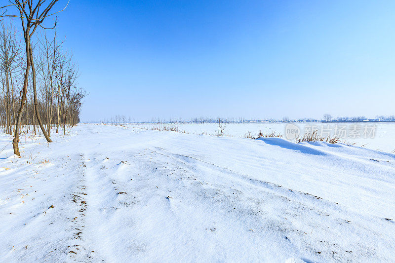 农村的土路上覆盖着雪，树木，冬天