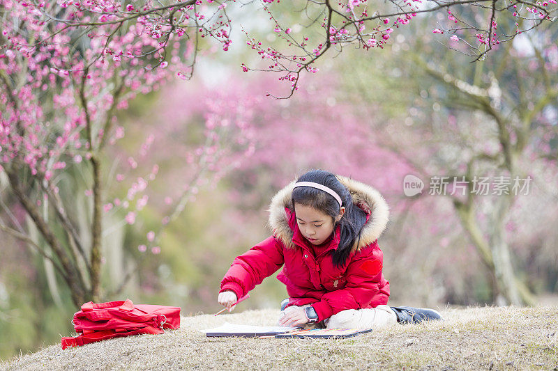 女孩在梅花树下画画。