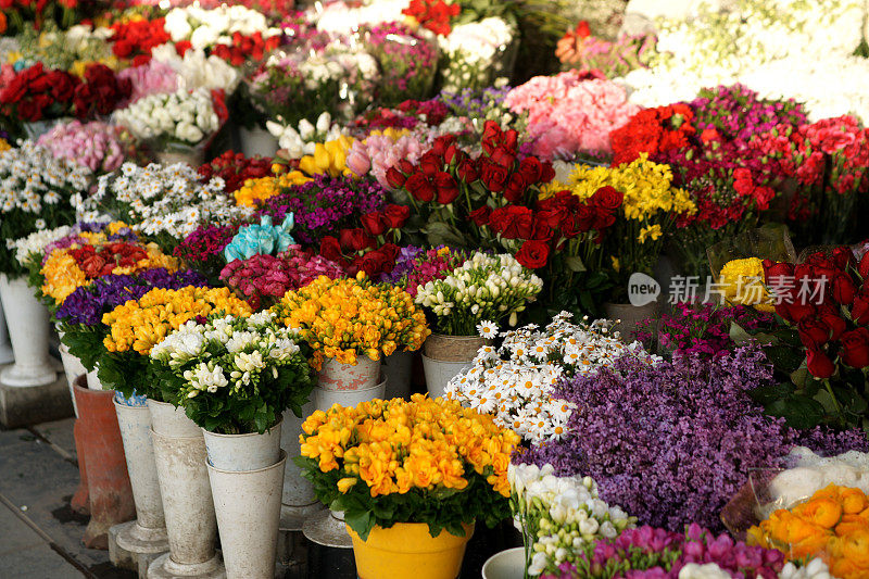 Flower-seller