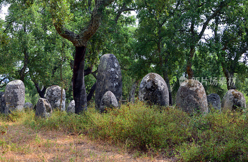 门、Evora、Alentejo，葡萄牙