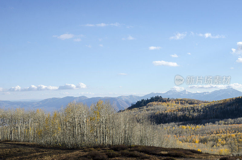 在科罗拉多州落基山脉的犹他州帕克城的峰色的卫兵通行证和白杨