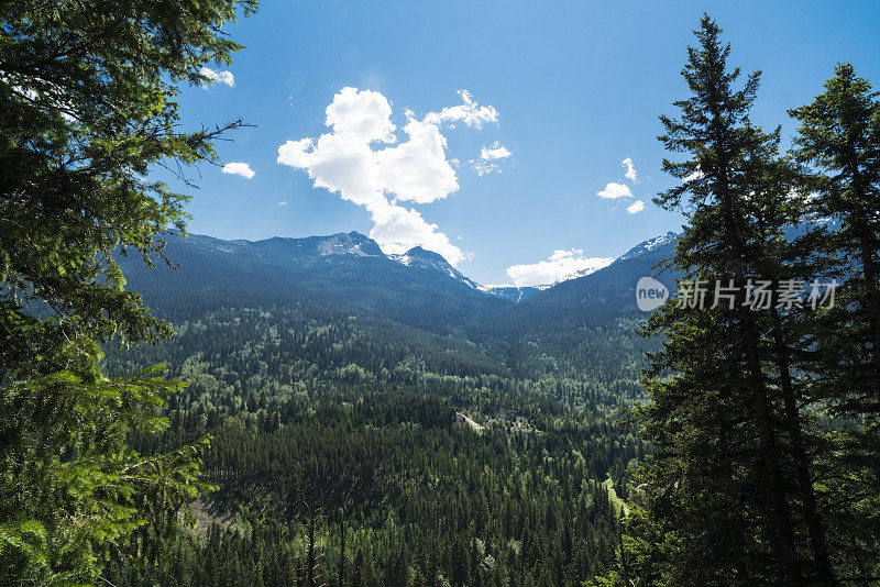 特里福克斯山省级公园在加拿大落基山脉，不列颠哥伦比亚省，加拿大