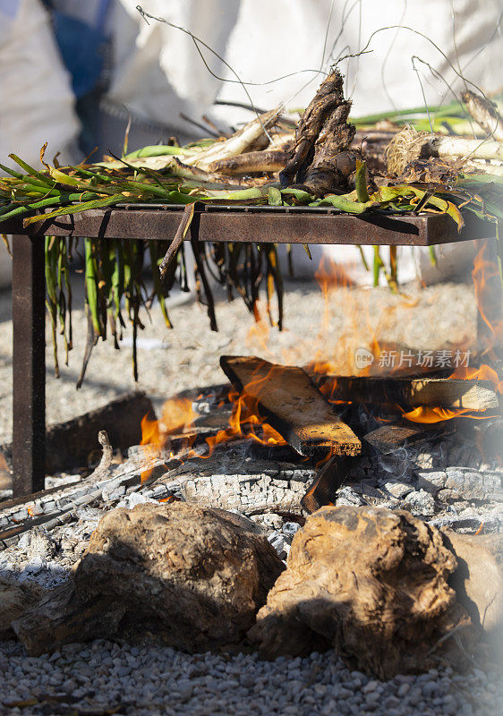 Calçots被烹饪-加泰罗尼亚的美食传统