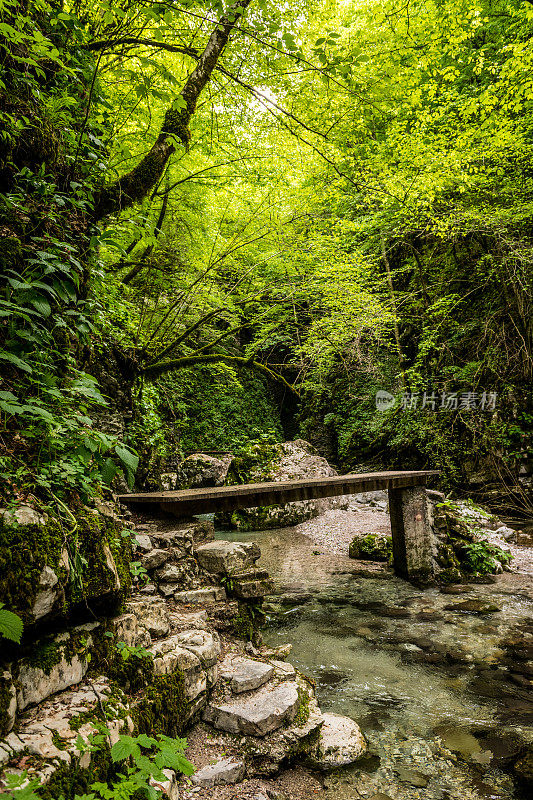 美丽的河床路径到科兹贾克瀑布在朱利安阿尔卑斯峡谷附近的斯洛文尼亚Kobarid
