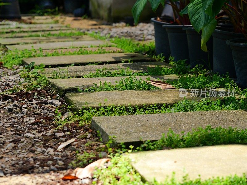 石砖步道与绿色的花园