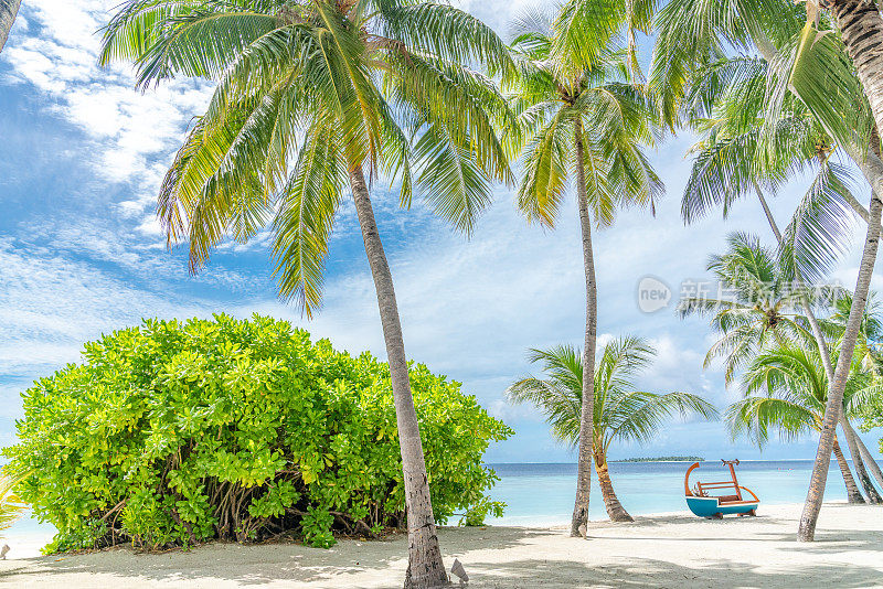 马尔代夫-阿亚达岛的蓝天、绿松石般的大海、白色的沙滩和绿色的棕榈树