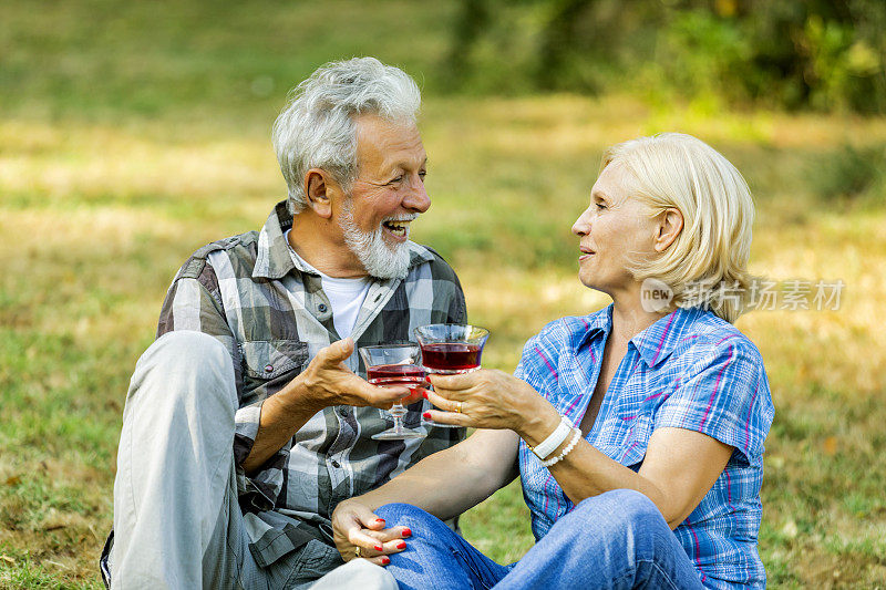 一对老年夫妇在一个阳光明媚的日子里在公园里野餐喝酒