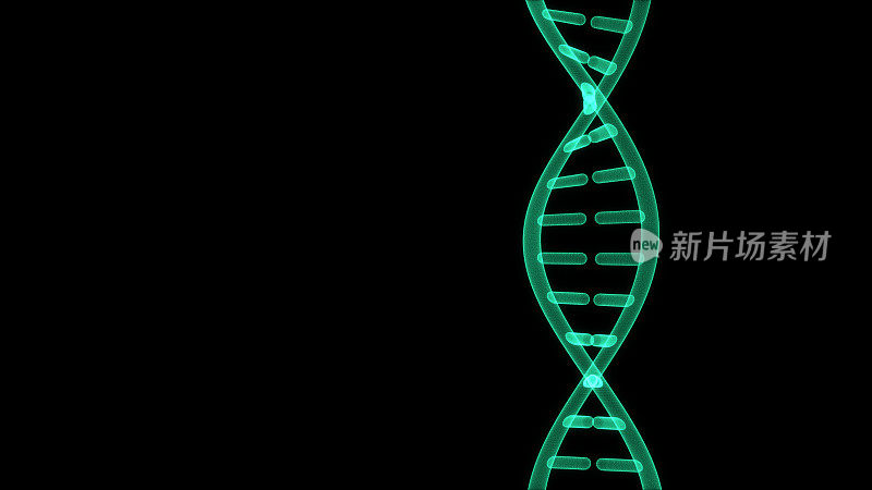 黑板上分离的DNA