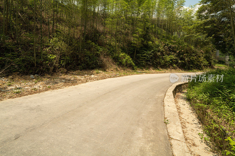 竹林中的路