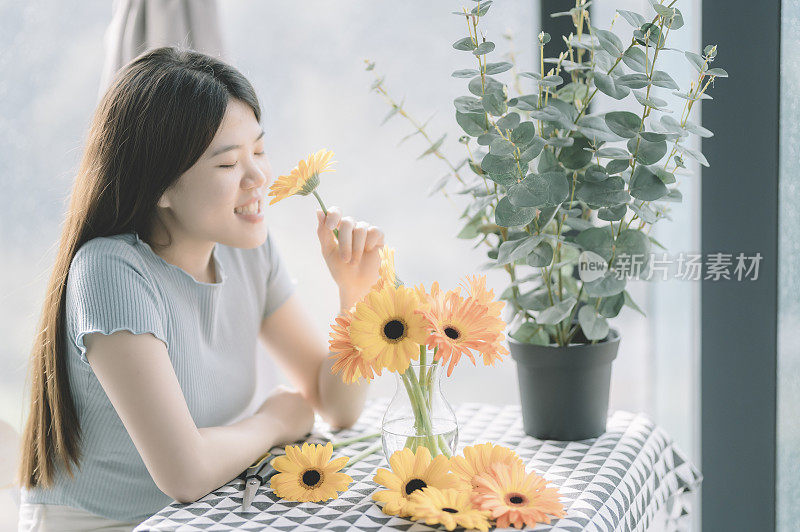 一个亚洲的中国美丽的年轻女子享受自己装饰她的家非洲菊