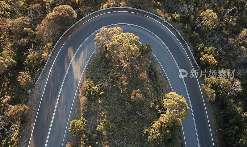 森林中蜿蜒道路