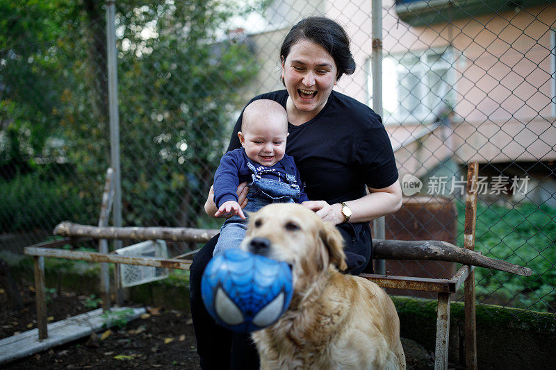 妈妈和宝宝和金毛猎犬玩得很开心