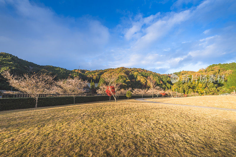 日本京都周边的乡村。