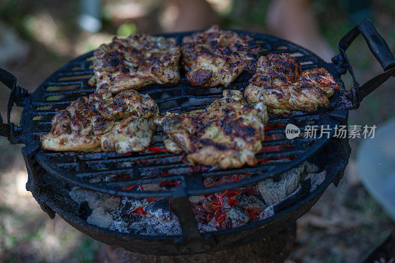 大家庭在后院享受准备烧烤的乐趣