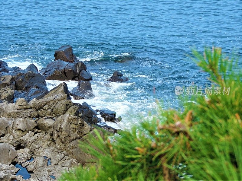 日本。7月。海景在晴朗的一天。