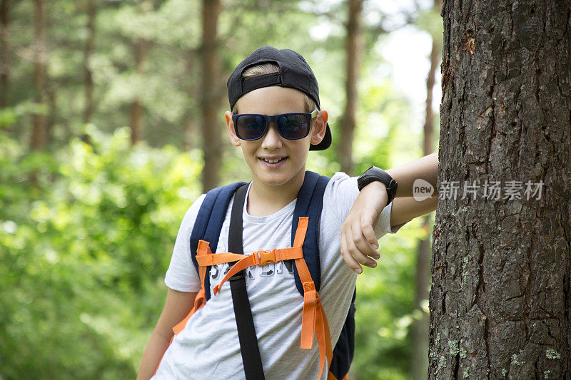 一个小男孩在夏天的松树林中徒步旅行。