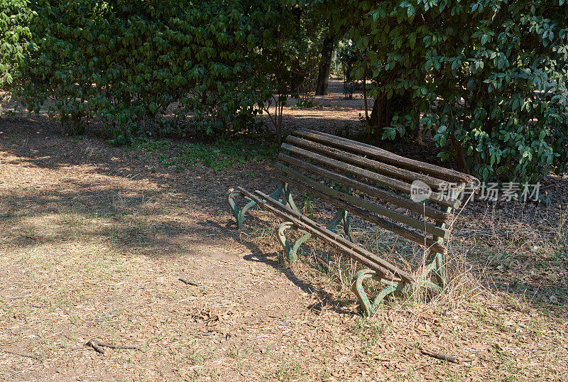 意大利罗马，破败的公园长椅