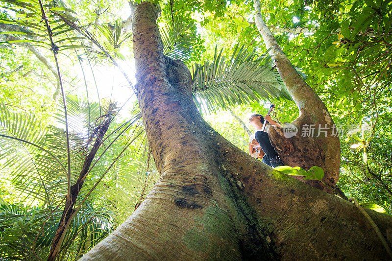 年轻的冲绳女人和四弦琴在树上