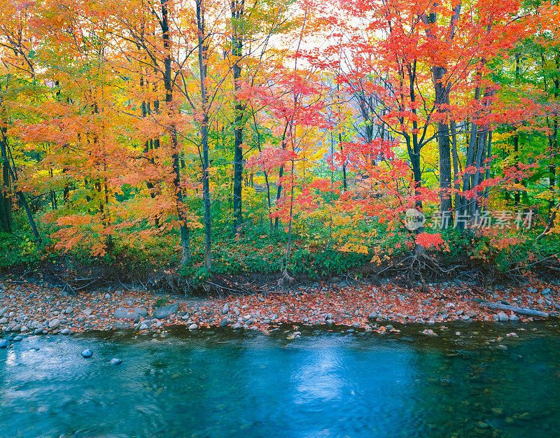 新英格兰的秋天，佛蒙特州的格林山脉有森林和河流