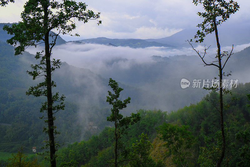 森林和山脉横跨雾和多云的天空。绿山的风景。自然背景。副本的空间。旅行，徒步旅行，徒步旅行，露营的概念