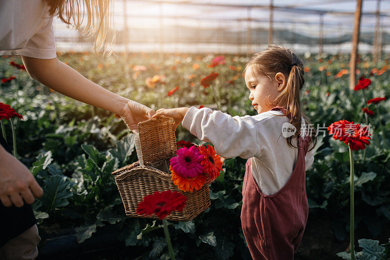 快乐的小女孩和她的妈妈在苗圃照顾鲜花