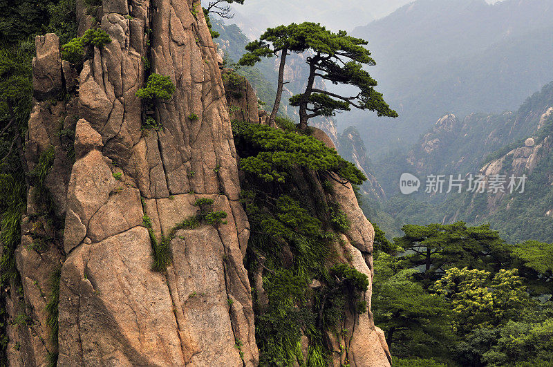 黄山，多云的夏日，中国东部安徽省南部。