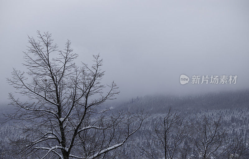 美丽的雪山冬季景观