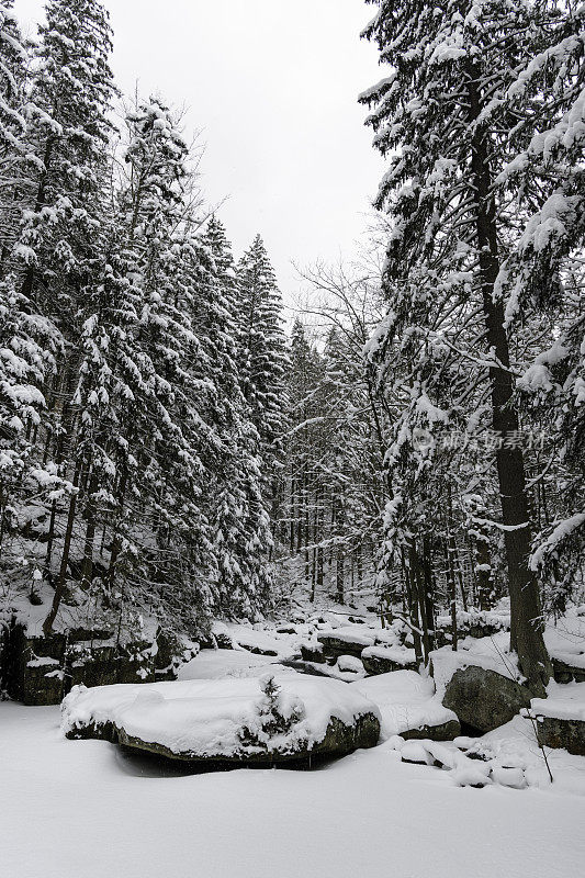 美丽的雪山冬季景观