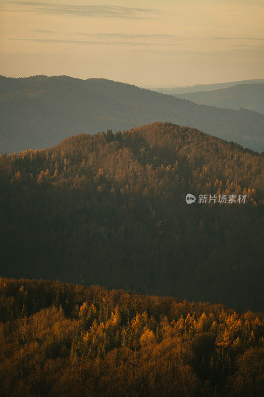 秋天的景色，青山绿水，阳光普照