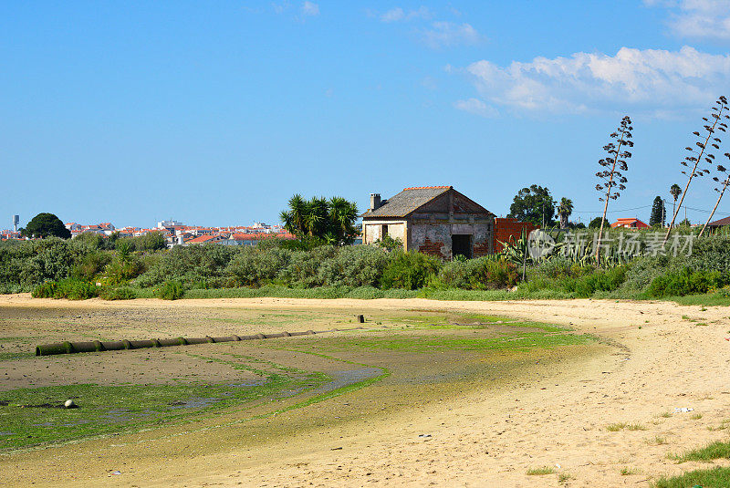 萨里霍斯大湾-海滩在退潮，蒙提霍，葡萄牙