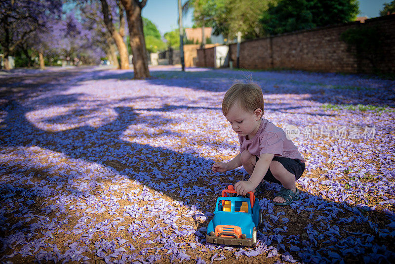 一个蹒跚学步的小孩在紫色的花丛中玩他的玩具汽车